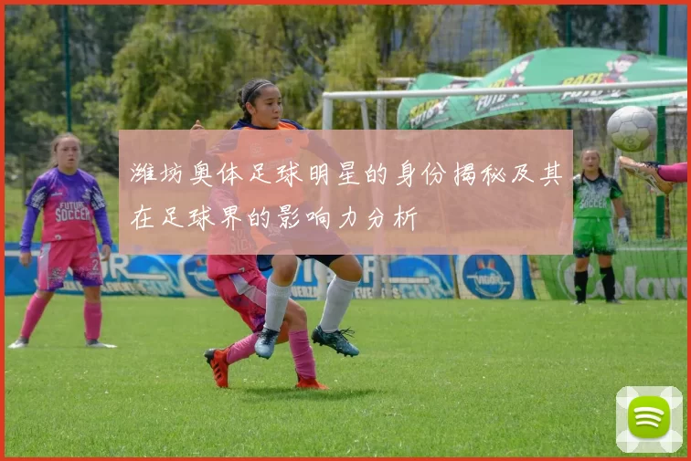 潍坊奥体足球明星的身份揭秘及其在足球界的影响力分析