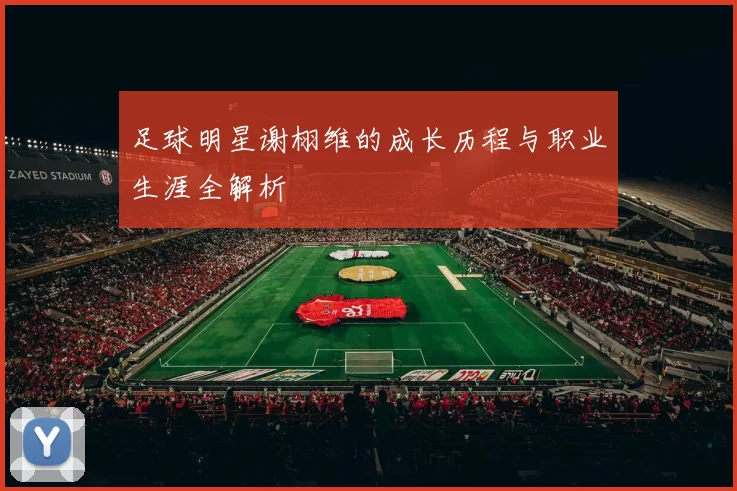 足球明星谢栩维的成长历程与职业生涯全解析