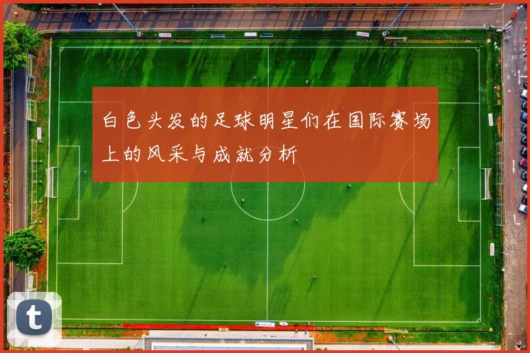 白色头发的足球明星们在国际赛场上的风采与成就分析