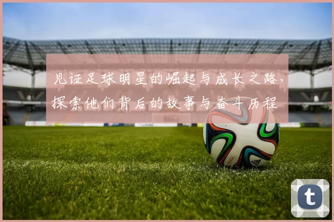 见证足球明星的崛起与成长之路，探索他们背后的故事与奋斗历程