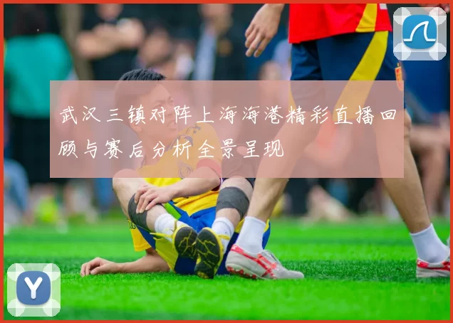 武汉三镇对阵上海海港精彩直播回顾与赛后分析全景呈现