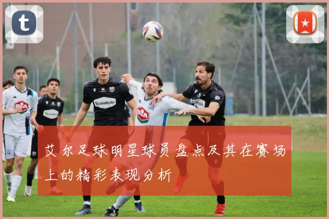 艾尔足球明星球员盘点及其在赛场上的精彩表现分析