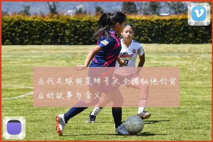 当代足球明星绰号大全揭秘他们背后的故事与含义