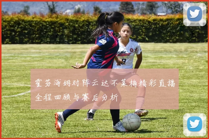霍芬海姆对阵云达不莱梅精彩直播全程回顾与赛后分析