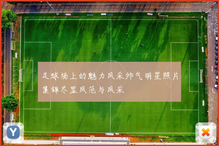 足球场上的魅力风采帅气明星照片集锦尽显风范与风采