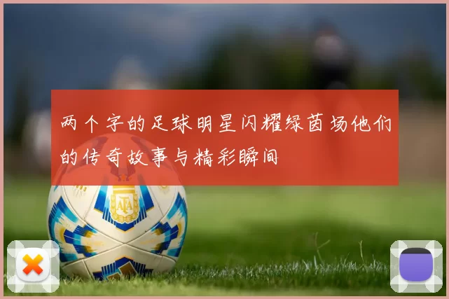两个字的足球明星闪耀绿茵场他们的传奇故事与精彩瞬间