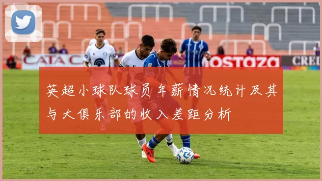 英超小球队球员年薪情况统计及其与大俱乐部的收入差距分析