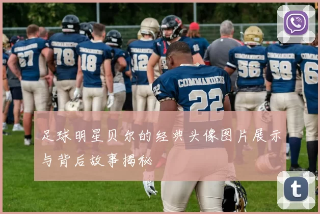 足球明星贝尔的经典头像图片展示与背后故事揭秘