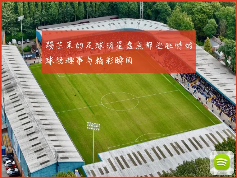 踢芒果的足球明星盘点那些独特的球场趣事与精彩瞬间