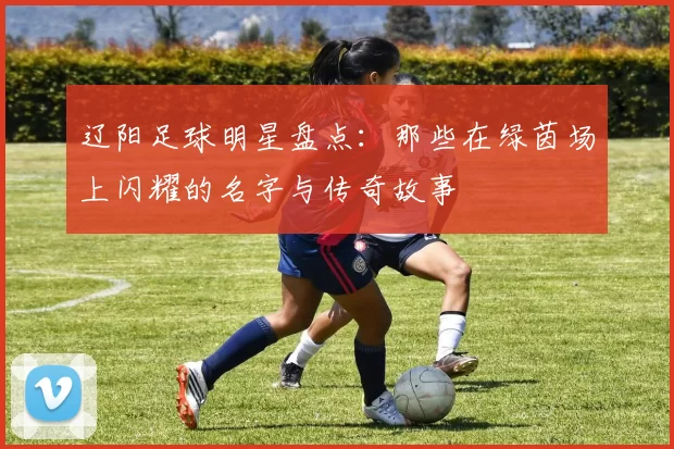 辽阳足球明星盘点：那些在绿茵场上闪耀的名字与传奇故事